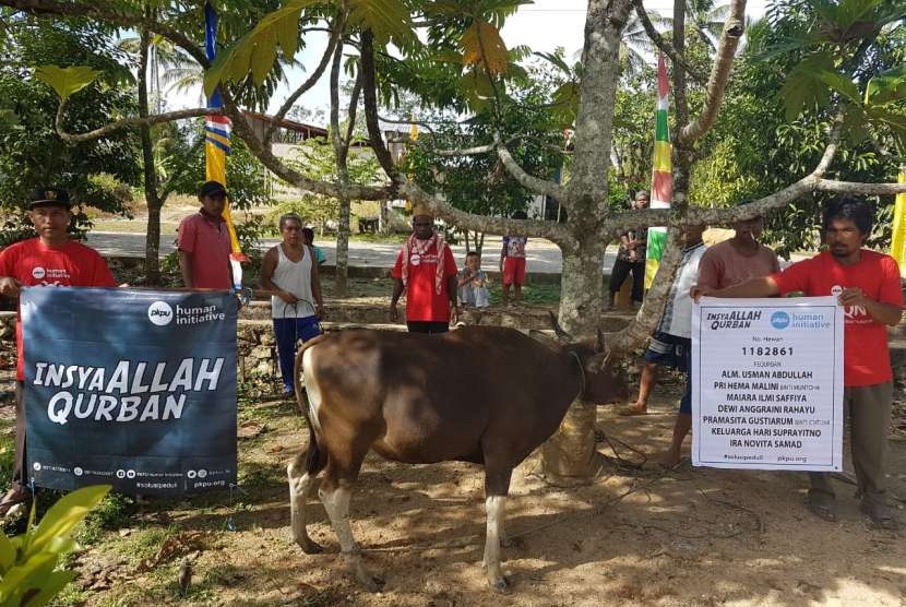  PKPU HI telah menyembelih 225 ekor sapi langsung di sekitar wilayah terdampak gempa Lombok.