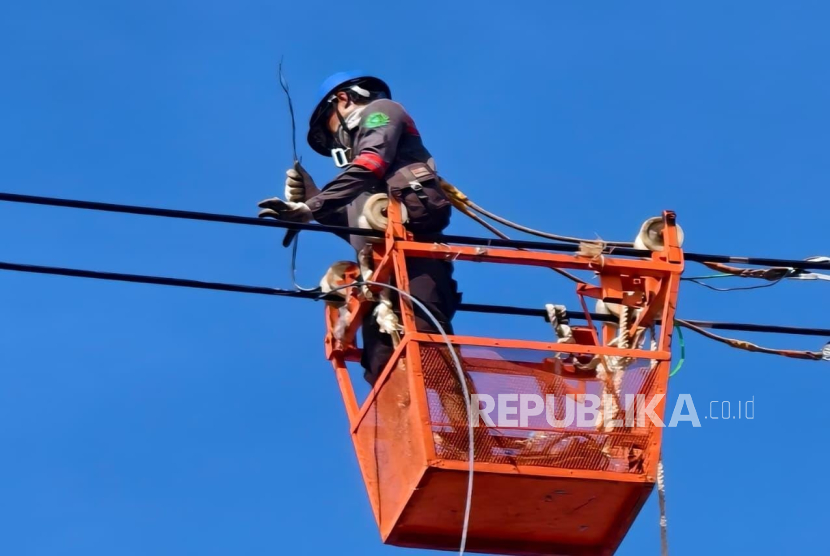 PLN lakukan pemeliharaan jaringan listrik