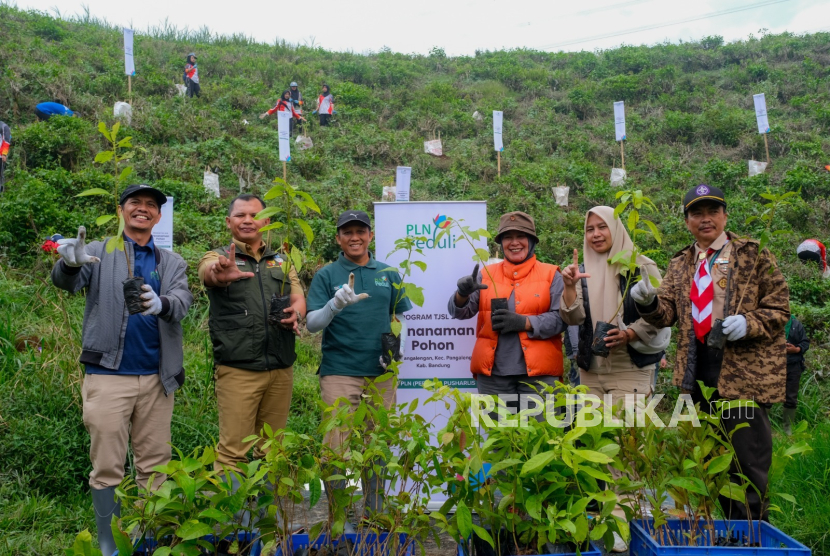 PLN Pusharlis menjalankan tiga program di Pengalengan yaitu Desa Berdaya, penanaman pohon, dan Electrifying Agriculture.