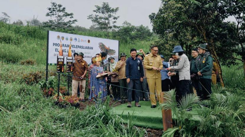 Plt Bupati Bogor Iwan Setiawan dalam acara pelepasan  Elang Jawa.