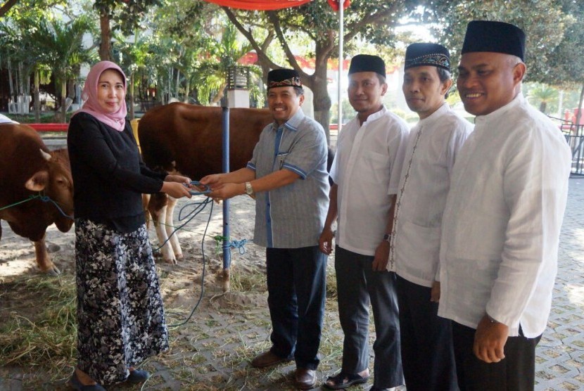 Plt Dirut Semen Indonesia Johan Samudra menyerahkan bantuan hewan kurban.