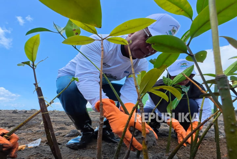 PNM konsisten dengan program PNM Hijaukan Neger. Hingga pekan pertama November 2025, PNM telah menanam 374.839 pohon.