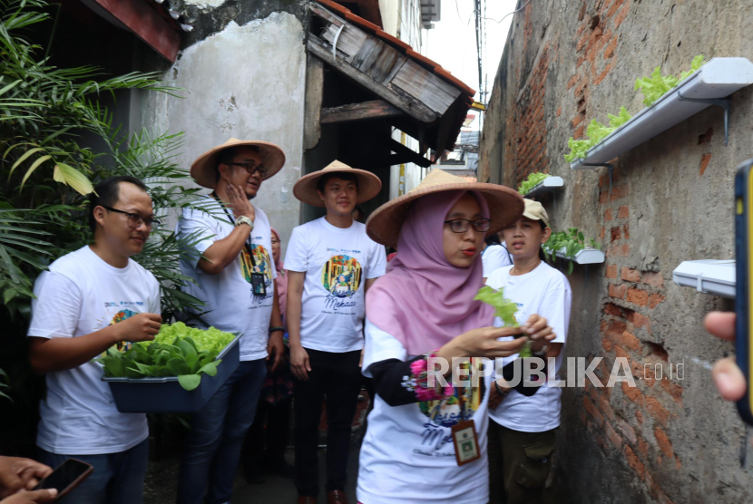 PNM meluncurkan Lorong Mekaar sebagai solusi kebutuhan pangan, nasabah binaan memperoleh pelatihan program urban farming ini. 