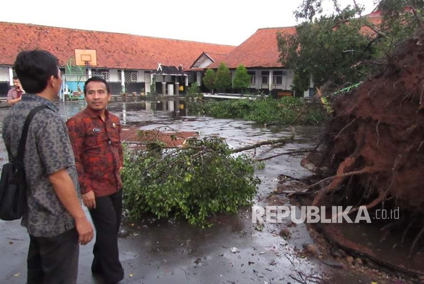 Pohon tumbang (ilustrasi) 