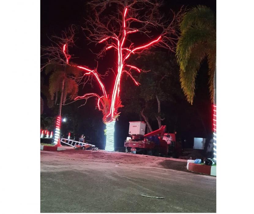 Pohon-pohon di jalan-jalan utama di Kota Palangka Raya dihias lampu agar semarak.