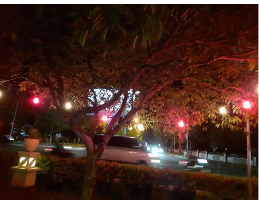 Lampu penerangan di jalan umum terhalang pohon. (Ilustrasi).