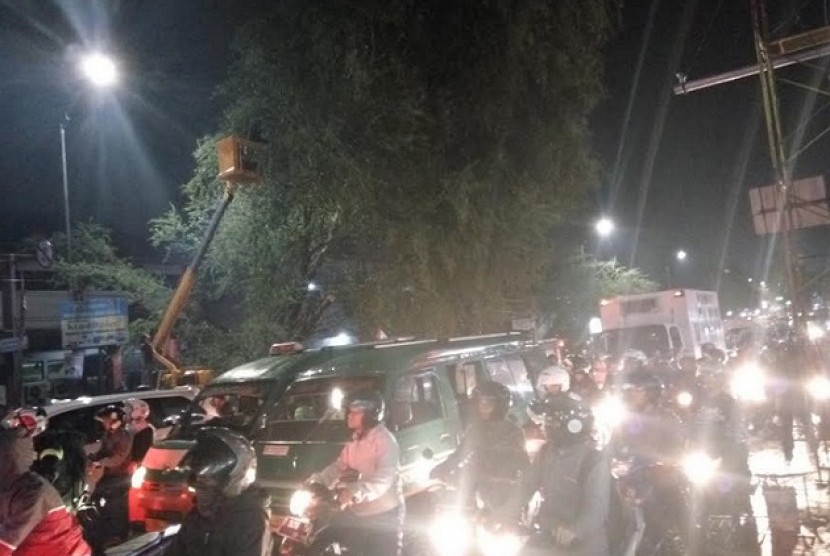 Pohon roboh ke badan jalan raya Amir Machmud di Kota Cimahi, Kamis (15/9) petang hingga mengakibatkan kemacetan panjang di dua jalur.