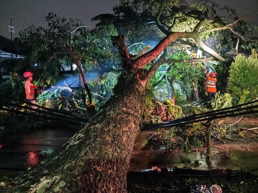 Pohon setinggi 20 meter di Kampung Asrama Pusdikzi, Kelurahan Lawanggintung, Kecamatan Bogor Selatan, Kota Bogor tumbang dan menimpa dua rumah, Ahad (26/2/2023).