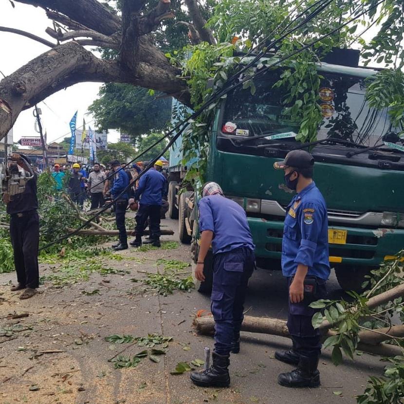 Pohon tumbang di Jalan Raya Sepatan, Kabupaten Tangerang menimpa sebuah truk kontainer, Sabtu (16/1/2021) pagi. Tidak ada korban jiwa dalam insiden tersebut. 