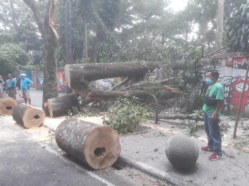Pohon tumbang di Jalan Taman Sari Kota Bandung, Senin (18/10) akibatnya akses jalan sementara ditutup. Tidak terdapat korban jiwa dalam peristiwa tersebut.