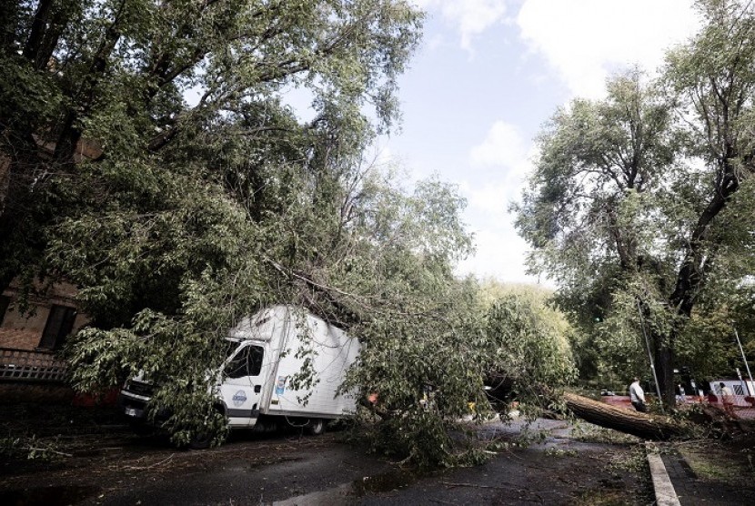 Pohon tumbang di Kota Roma, Italia, akibat cuaca buruk.