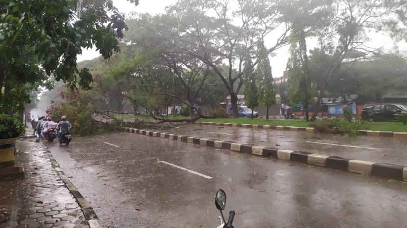 Pohon tumbang terjadi di Jalan Soekarno Hatta, Kota Bandung tepatnya di depan Polda Jawa Barat, Ahad (23/10/2022).