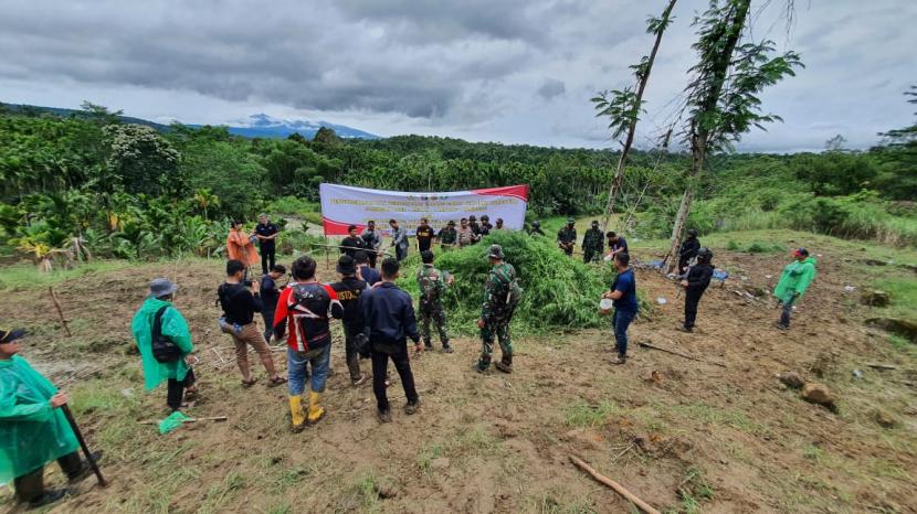 Polda Lampung dan Aceh menemukan ladang ganja seluas 6,28 hektare di Dusun Uteu, Desa Lhokdrien, Sawang, Aceh Utara, Provinsi Aceh, Ahad (27/2/2022). 