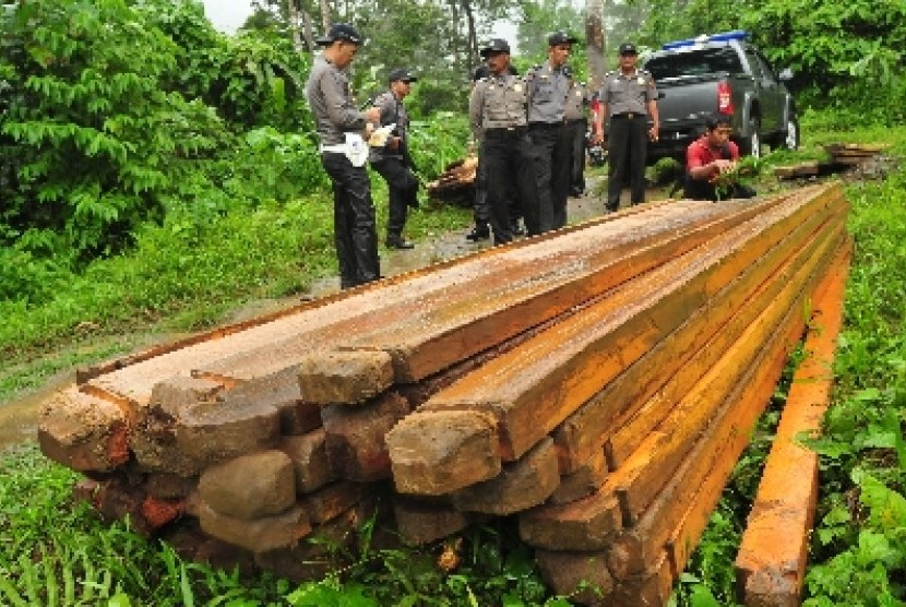 Polisi amankan kayu hasil curian.