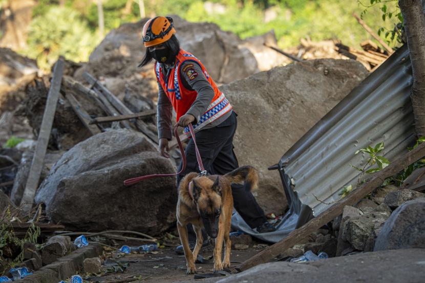 Polisi dan anjing pelacak mencari korban hilang dalam tanah longsor di Desa Waematan, Ile Ape, Kabupaten Lembata, Nusa Tenggara Timur (NTT), Sabtu (10/4/2021). Tim SAR gabungan dari TNI, Polri, Basarnas, PMI, dan relawan telah berhasil mengevakuasi 18 korban meninggal dan saat ini masih melakukan pencarian terhadap delapan korban hilang tertimbun material batu dan tanah longsor yang terjadi pada Minggu (4/4) dini hari.