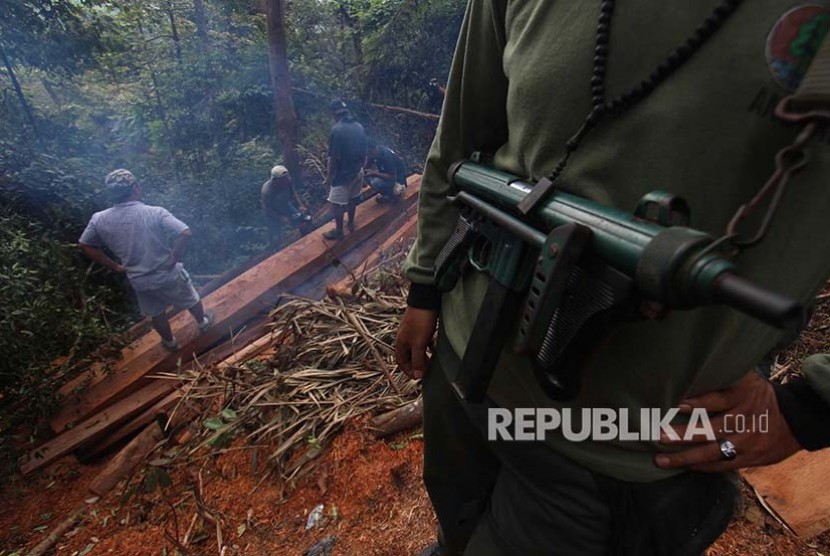 Polisi Kehutanan mengamankan kayu olahan milik pembalak liar (Ilegal logging) (ilustrasi).