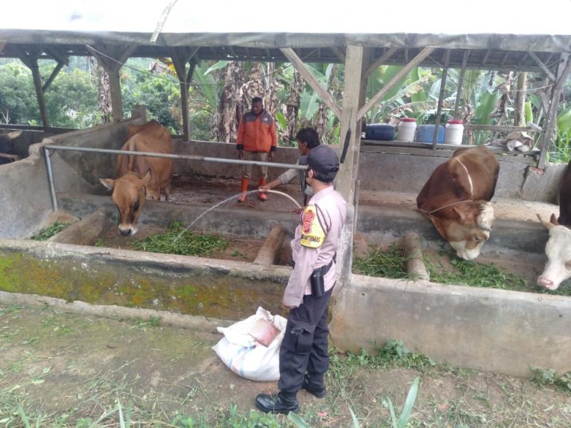 Polisi mendampingi petugas kesehatan hewan melakukan vaksinasi di sejumlah peternakan di Kecamatan Panjalu, Kabupaten Ciamis, Ahad (15/5/2022).