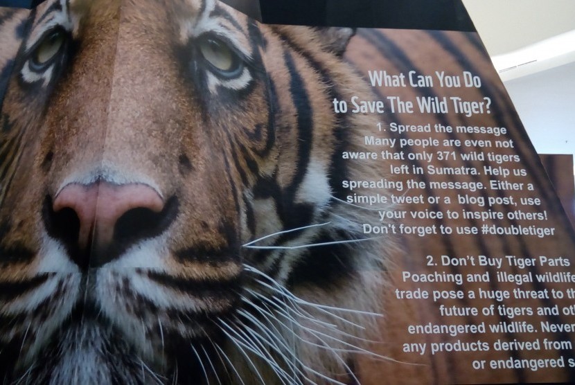 Poster raksasa kampaye untuk selamatkan harimau sumatra
