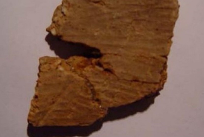 Potongan temuan gerabah tertua di dunia yang ditemukan di Jiangxi, Cina.