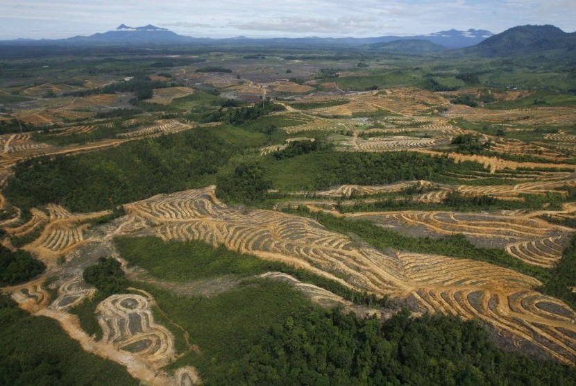 Potret udara hutan di Kapuas Hulu, Kalimantan Barat.