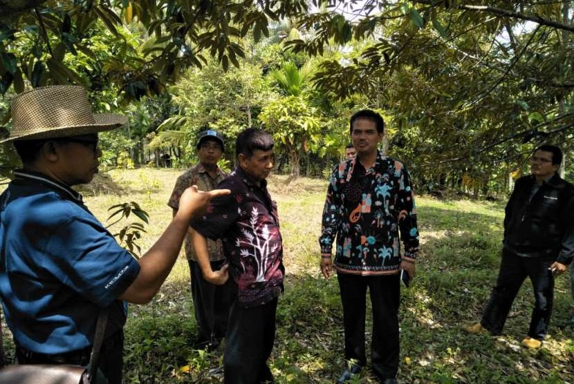 PPemprov Sumatra Barat akan menyelenggarakan  ekspo dan kontes durian lokal nusantara