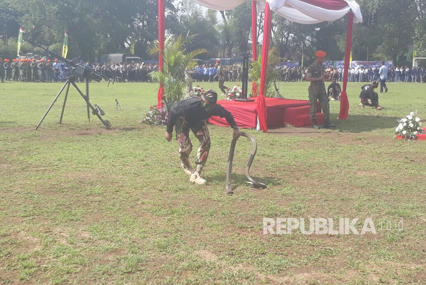 Prajurit Komando Pasukan Khusus (Kopassus) TNI AD melakukan aksi menaklukan ular Kobra di Lapangan Rajawali, Kota Cimahi, Kamis (5/10). Kegiatan dilaksanakan Kodim 0609/Kabupaten Bandung dalam rangka Hari Ulang Tahun (HUT) TNI ke 72.