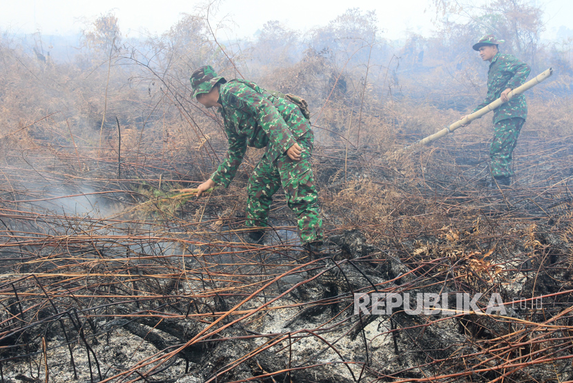 Lahan gambut yang terbakar (ilustrasi) 