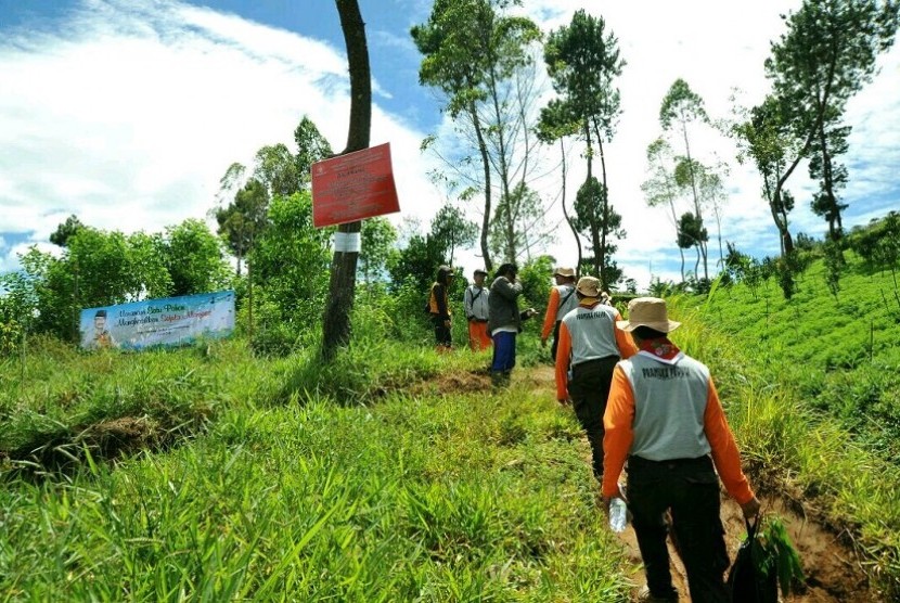 Pramuka tanam 2.000 pohon di lereng Gunung Papandayan