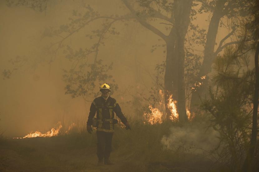 Prancis mengalami kebakaran hutan hebat seiring dengan kekeringan dan gelombang panas yang melanda banyak tempat di Benua Eropa.