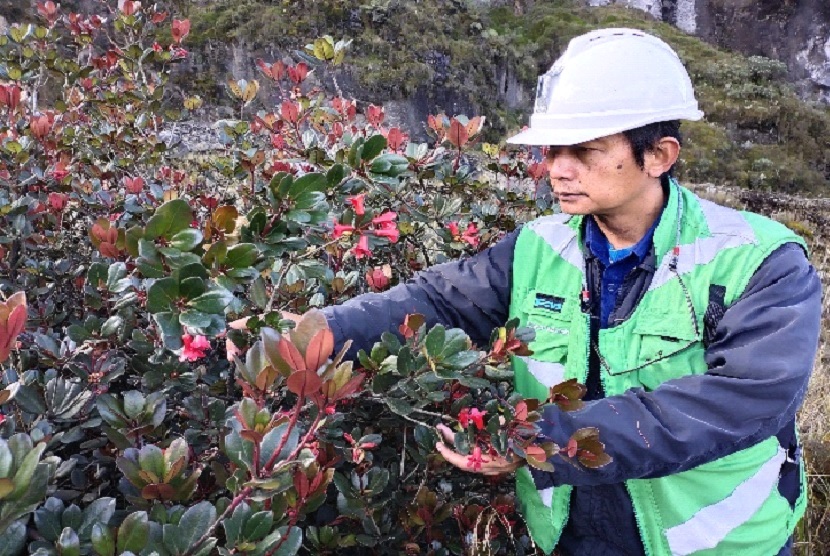 Pratita Puradyatmika, General Superintendent of Highland Reclamation and Monitoring PT Freeport Indonesia selaku pendukung utama tim eksplorasi keanekaragaman hayati yang nama belakangnya digunakan sebagai nama jenis baru tumbuhan ini 