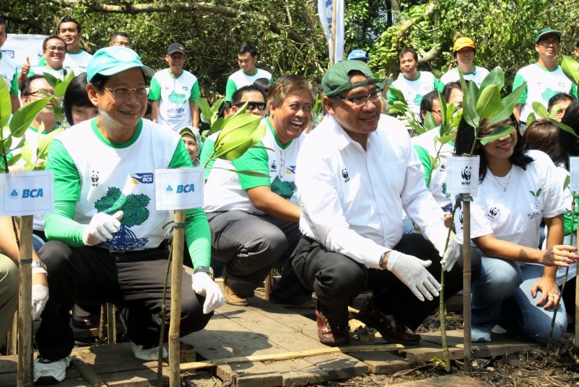 Presiden Direktur BCA Jahja Setiaatmadja (kiri) dan CEO WWF Indonesia Efransjah (kedua dari kanan) melakukan penanaman pohon mangrove, Rabu (18/3/2015).