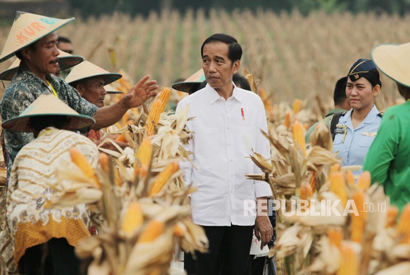 President Joko Widodo talks to the farmers during corn harvest at Social Forestry, Ngimbang, Tuban, East Java, on Friday (March 9).