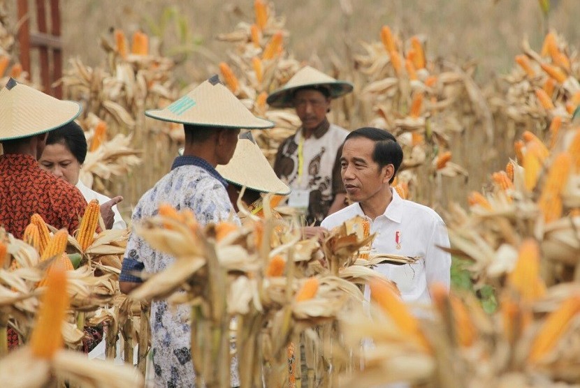 Presiden Joko Widodo