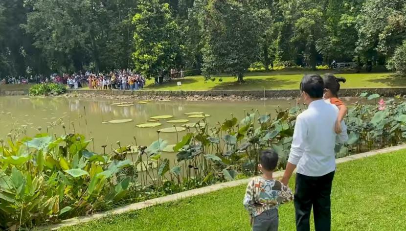 Presiden Joko Widodo bersama dua cucunya, Jan Ethes dan Sedah Mirah melambaikan tangan untuk menyapa warga yang melihat mereka dari seberang kolam, di kawasan Istana Kepresidenan, Bogor, Ahad (2/1).