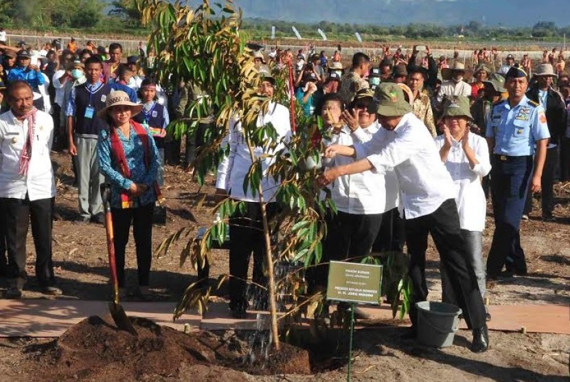 Presiden Joko Widodo bersama jajaran menteri melakukan penanaman pohon di sekitar Danau Toba.