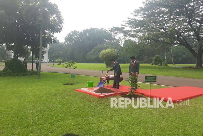 Presiden Joko Widodo dan Sultan Brunei Darussalam, H.M. Sultan Haji Hassanal Bolkiah melakukan penanaman pohon di Istana Kepresidenan, Bogor, Kamis (3/5).