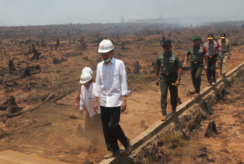 Presiden Joko Widodo didampingi Menteri Kehutanan dan Lingkungan Hidup Siti Nurbaya, Panglima TNI Jenderal Gatot Nurmantyo, Pangdam VI Mulawarman Mayjen TNI Benny Indra, Pejabat Gubernur Kalsel Tarmizi A Karim dan Danrem 101 Antasari Kolonel Inf M Abduh Ra