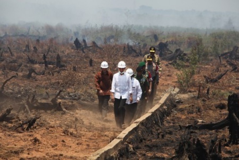 Presiden Joko Widodo didampingi Menteri Kehutanan dan Lingkungan Hidup Siti Nurbayameninjau lokasi bekas kebakaran lahan di desa Guntung Damar, Banjarbaru, Kalimantan Selatan, Rabu (23/9) 