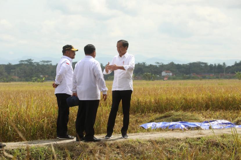 Presiden Joko Widodo (Jokowi) didampingi Menteri Pertanian Syahrul Yasin Limpo (Mentan SYL), dan Menteri Pertahanan Prabowo Subiyanto, baru saja melaksanakan panen raya di Kabupaten Kebumen, Jawa Tengah.