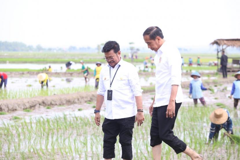 Presiden Joko Widodo (Jokowi) didampingi Menteri Pertanian Syahrul Yasin Limpo (Mentan SYL) melakukan tanam padi di Desa Senori, Kecamatan Merakurak, Kabupaten Tuban, Jawa Timur.