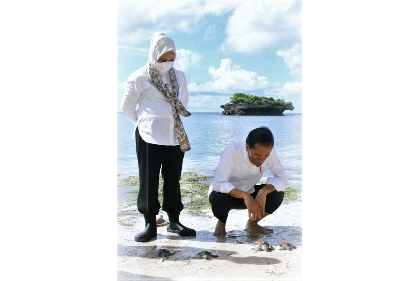 Presiden Joko Widodo (kanan) dan Ibu Negara Iriana Joko Widodo (kiri) melepasliarkan tukik saat aksi konservasi di Pantai Patuno, Wakatobi, Sulawesi Tenggara, Kamis (9/6/2022). Aksi Konservasi Penganugerahan Jokowi Point, Transplantasi Karang dan Pelepasan Tukik di Kabupaten Wakatobi tersebut merupakan salah satu upaya menjaga ekosistem laut Wakatobi.