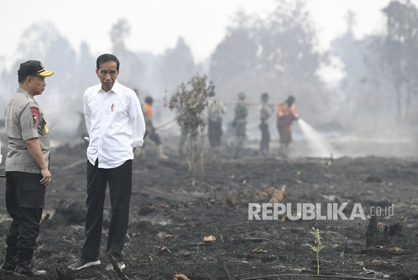 Presiden Joko Widodo (kanan) didampingi Kapolri Jenderal Pol Tito Karnavian saat meninjau penanganan kebakaran lahan di Desa Merbau, Kecamatan Bunut, Pelalawan, Riau, Selasa (17/9/2019).