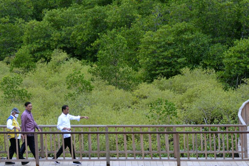 Presiden Joko Widodo (kanan) didampingi Menko Bidang Kemaritiman dan Investasi Luhut Binsar Pandjaitan (tengah) dan Menteri Pekerjaan Umum dan Perumahan Rakyat (PUPR) Basuki Hadimuljono (kiri) meninjau kawasan mangrove Taman Hutan Raya (Tahura) Ngurah Rai, Denpasar, Bali, Kamis (6/10/2022). Peninjauan itu dilakukan untuk memastikan kesiapan kawasan mangrove Tahura Ngurah Rai sebagai salah satu lokasi kegiatan Konferensi Tingkat Tinggi (KTT) G20 di Bali pada 15-16 November mendatang. 