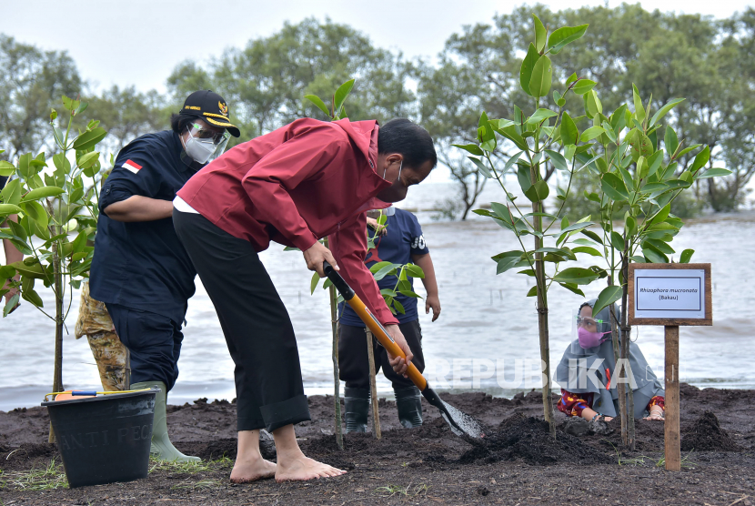 Presiden Joko Widodo (kanan) didampingi Menteri Lingkungan Hidup dan Kehutanan Siti Nurbaya melakukan penanaman mangrove di kawasan wisata Raja Kecik, Desa Muntai Barat, Kecamatan Bantan, Kabupaten Bengkalis, Riau, Selasa (28/9/2021). 