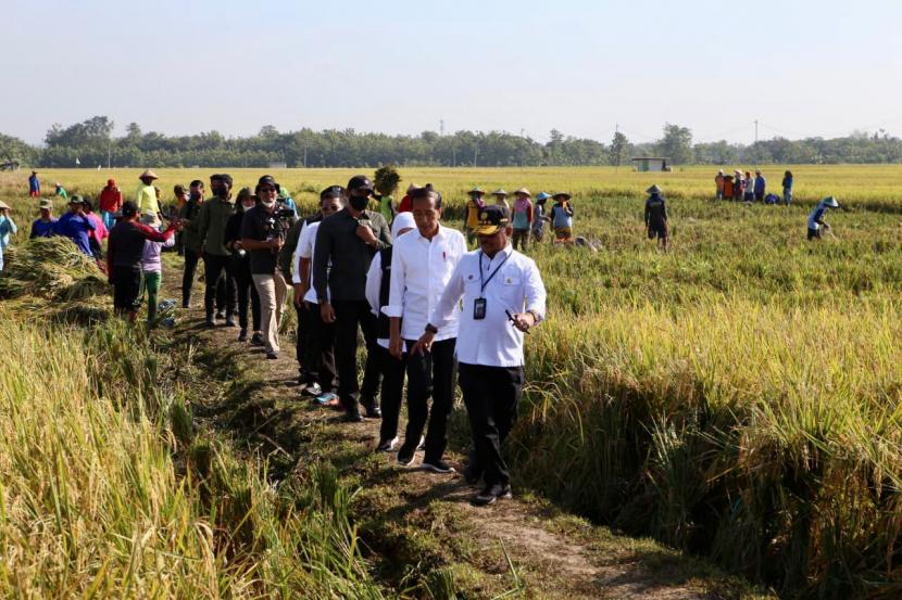 Presiden Joko Widodo (kedua kanan) berbincang dengan Menteri Pertanian Syahrul Yasin Limpo (kanan) dan Gubernur Jawa Timur Khofifah Indar Parawansa (ketiga kanan) di areal persawaan saat meninjau panen raya padi dalam kunjungan kerjanya di Ngawi, Jawa Timur, Sabtu (11/3/2023). 