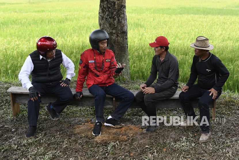 Presiden Joko Widodo (kedua kiri) bersama Menteri PUPR Basuki Hadimuljono (kiri) berbincang dengan petani padi Adan di Krayan, Kabupaten Nunukan, Kalimantan Utara, Kamis (19/12/2019). 