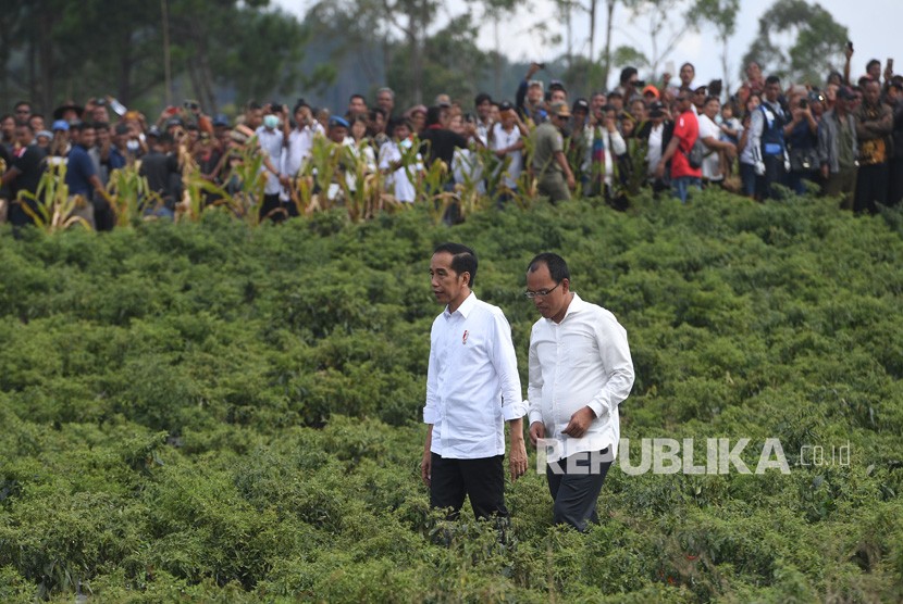 Presiden Joko Widodo (kiri) didampingi Bupati Humbang Hasundutan Dosmar Banjarnahor (kanan) berjalan melintasi perkebunan bawang saat melakukan kunjungan kerja di Humbang Hasundutan, Sumut. (Ilustrasi)