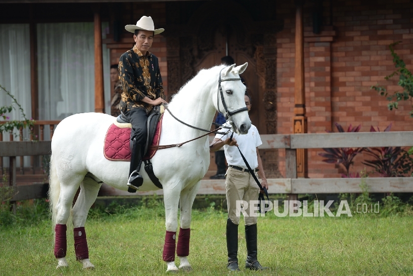  Presiden Joko Widodo (kiri) menunggang kuda Salero milik Ketua Umum Gerindra Prabowo Subianto di kediaman Prabowo, Padepokan Garuda Yaksa, Hambalang, Jawa Barat, Senin (31/10). (Republika/Wihdan)