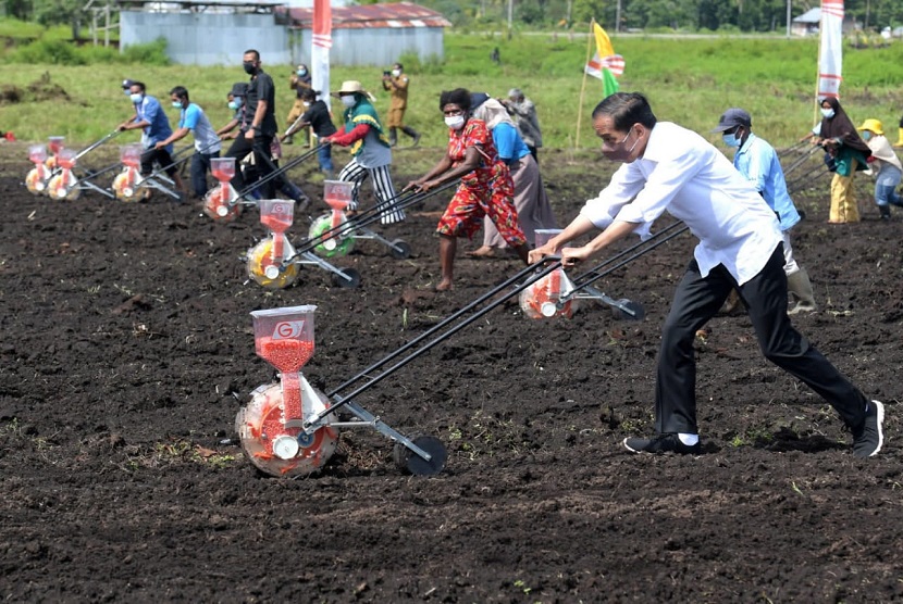 Presiden Joko Widodo melakukan tanam jagung bersama petani di Kelurahan Klamasen Distrik Mariat Kabupaten Sorong, Papua Barat, Senin, (4/10).