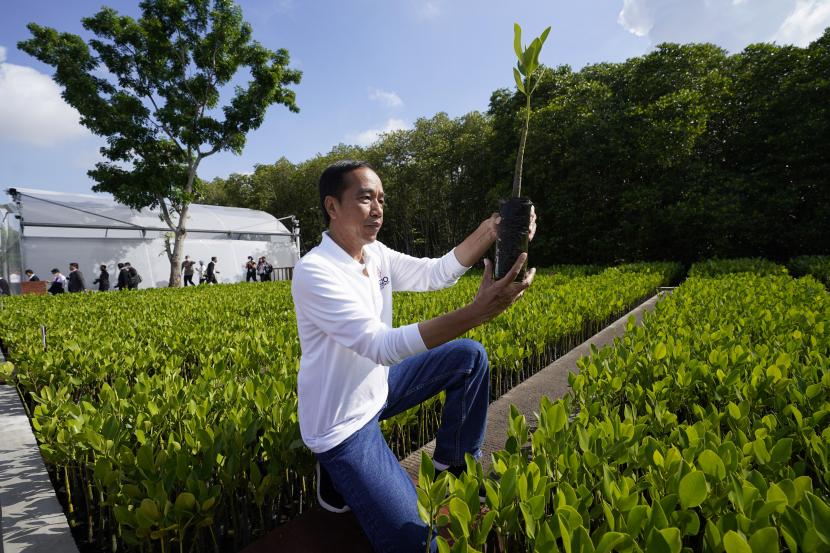  Presiden Joko Widodo menanam pohon di Hutan Mangrove Taman Hutan Raya Ngurah Rai, di sela-sela pertemuan KTT G20, Rabu, 16 November 2022, di Denpasar, Bali, Indonesia. 
